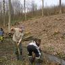 05 - A nagyobb fákhoz ásóval ástak gödröket a fiúk.jpg